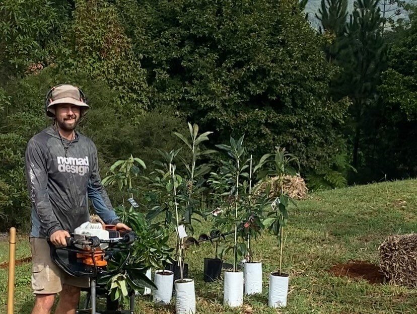 Michael from Tucki Gardens planting fruit trees on a Northern Rivers block